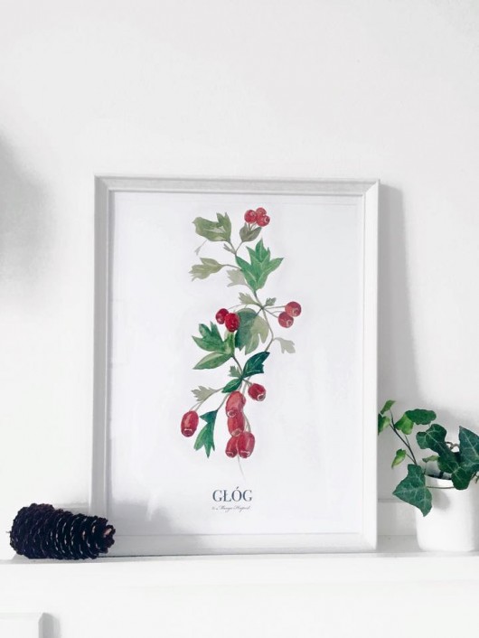 głóg plakat/poster, wydruk cyfrowy Margo Hupert