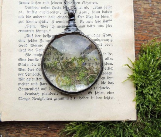 terrarium MARIAELA
