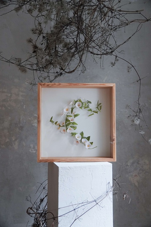 inne Obiekt botaniczny z papieru, roślina - powój duży