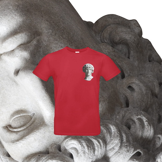 t-shirty męskie Czerwona KOSZULKA męska DAVID