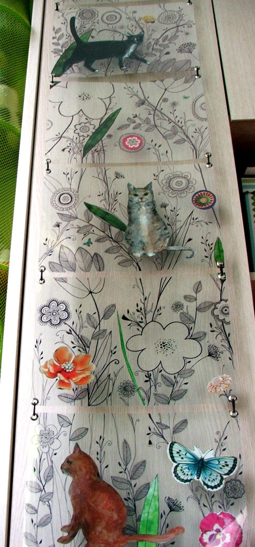 panel koty mocca