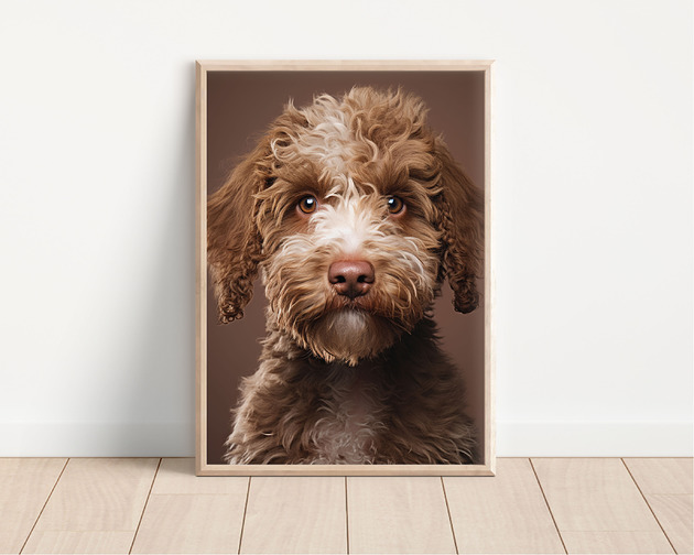 plakaty Plakat lagotto romagnolo