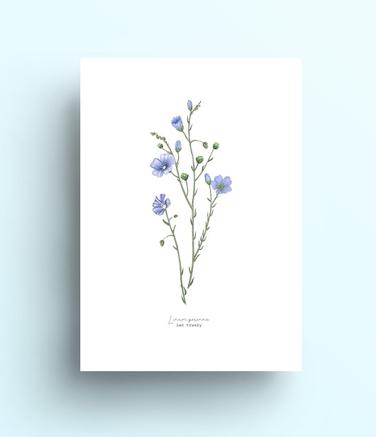 grafiki i ilustracje Len