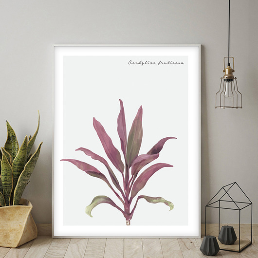 Plakat CORDYLINE FRUTICOSA muybien