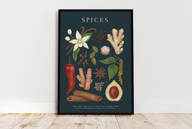 plakaty Plakat botaniczny "Spices" 30x40