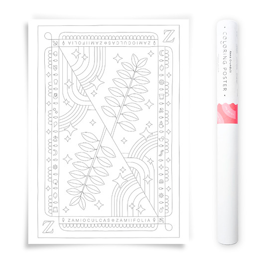 plakaty Plakat do Kolorowania Roślina Doniczkowa Zamiokulkas 50x70cm