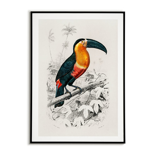 Plakat TUKAN vintage Bajkowe Obrazki