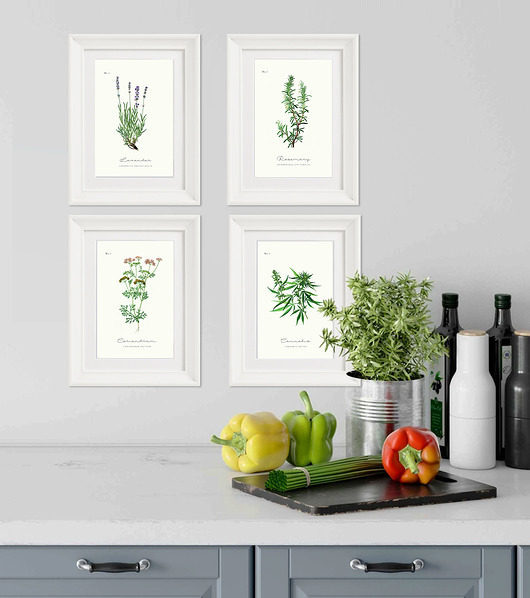 grafiki i ilustracje Zestaw obrazków z ziołami do kuchni