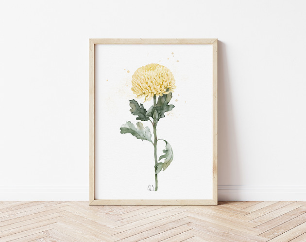 grafiki i ilustracje Miodowa chryzantema, grafika, akwarela