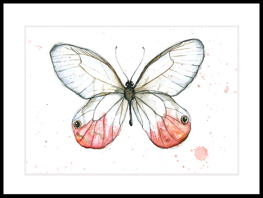 Motyl subtelny, 21x30 cm, A4 JUST ILUST Justyna Małczak