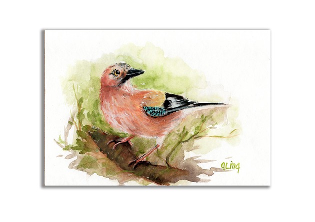 grafiki i ilustracje Akwarela ręcznie malowana "Sójka"