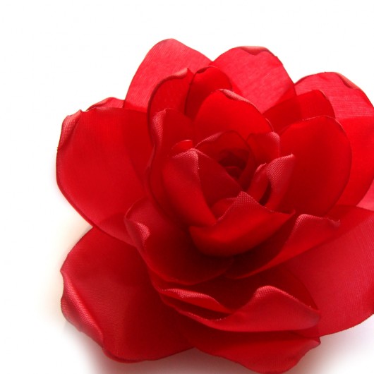 intensywna czerwień _ zamówienie  SundayRose