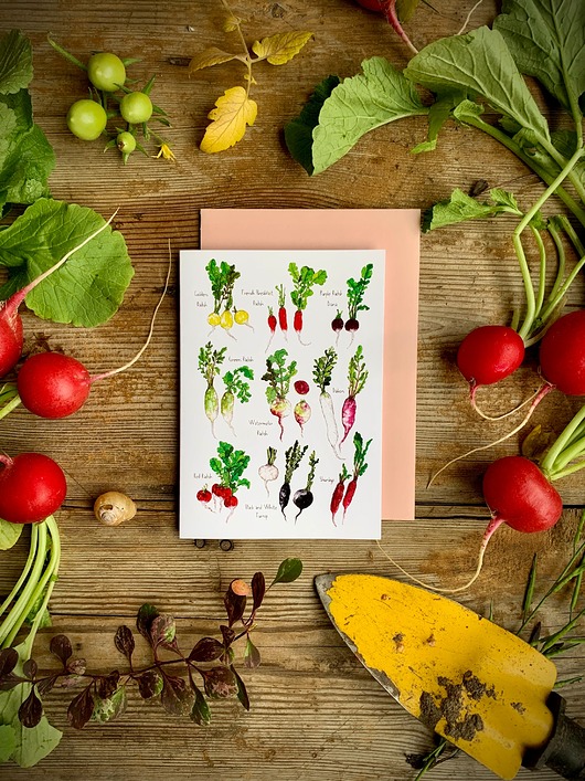 kartki okolicznościowe - wydruki Rzodkiewki- Kartka- Grafika- Ilustracja- Las