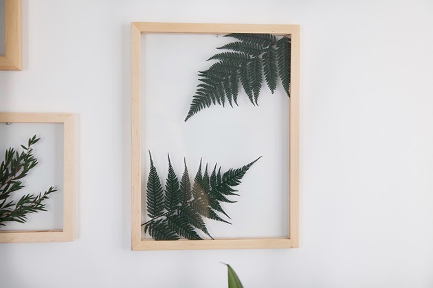 Żywy obraz Paproć Plantsonwall