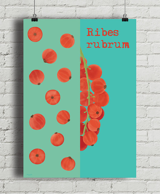 plakaty Porzeczka - plakat fine art, giclee