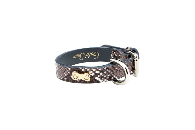 smycze i obroże dla psów i kotów Obroża Snake (szerokość 2,5 cm)
