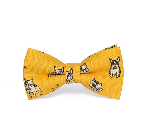 Dogue. Żółta mucha w buldogi Maja Allure