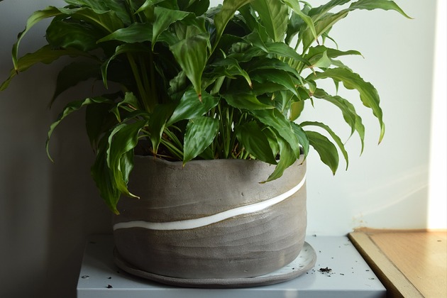 doniczki LINIA ŻYCIA_doniczka ceramiczna