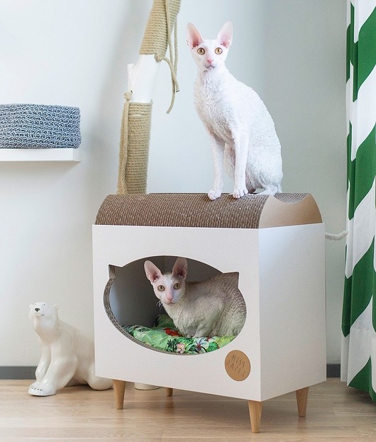 TVcat domek+ drapak dla kota Misspaper