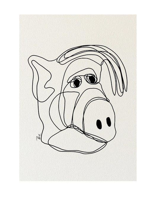 Ilustracja Alf Olly & Arya