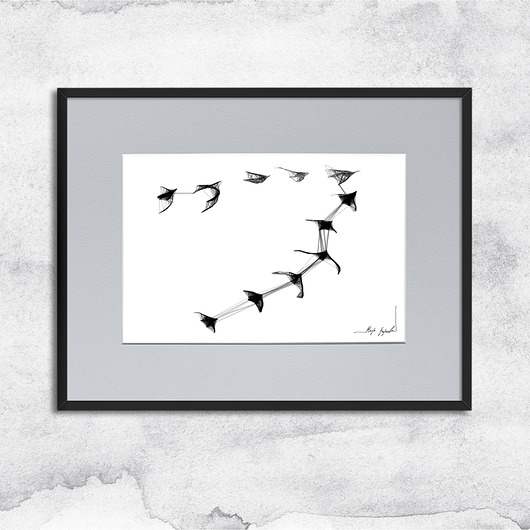 grafiki i ilustracje Oprawiona grafika - ptaki (nr 26)