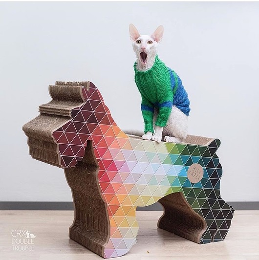 legowiska dla psów i kotów Paperdog drapak- leżanka dla kota