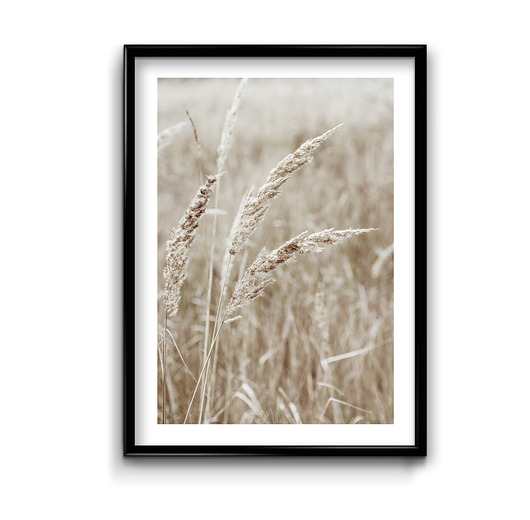 plakaty Plakat Trawy No.2