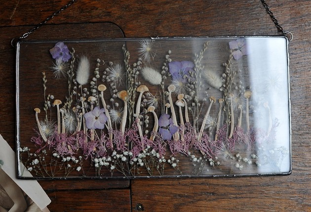 Ozdoby na ścianę Mycelium Dreams