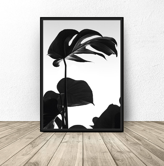 Plakat "Czarna monstera" scandiposter