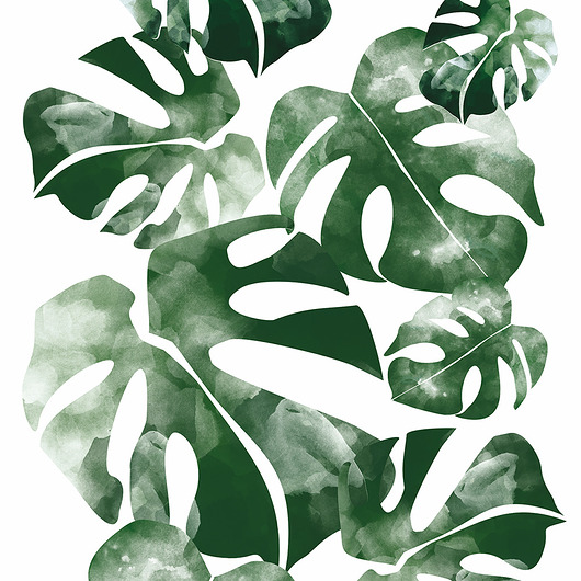 tapety i naklejki ścienne Tapeta  młodzieżowa Monstera Leaf