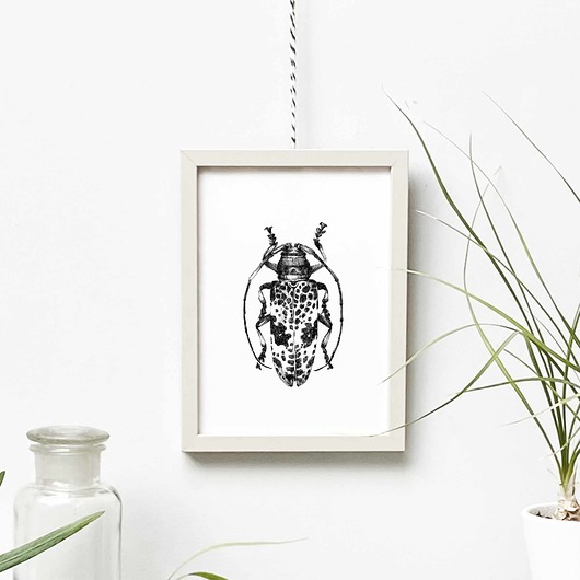 grafiki i ilustracje Owad w ramie