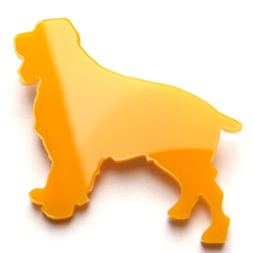 Cocker spaniel Magdalena Kopec