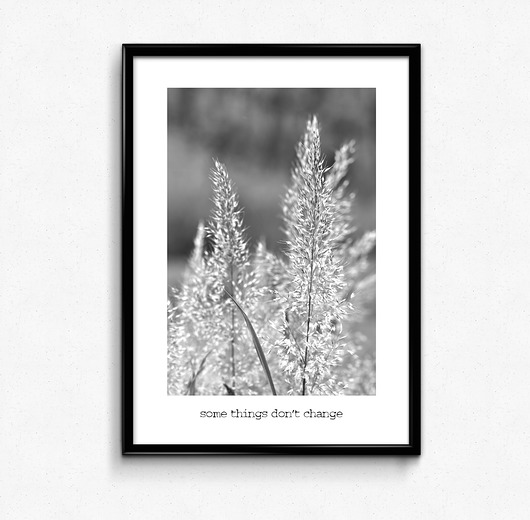 some things don't change 30x40 plakat Bury Lis