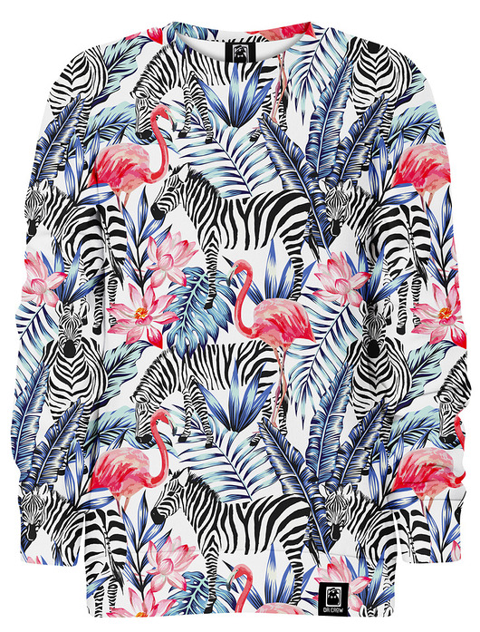 bluzy dla chłopców Bluza bez kaptura Chłopiec DR.CROW Flamingi