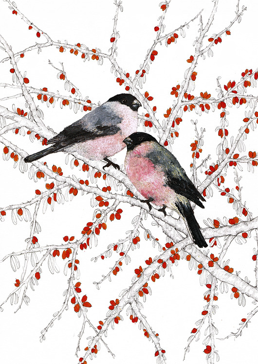 grafiki i ilustracje Gile- Plakat- Grafika- Ilustracja- Ptaki