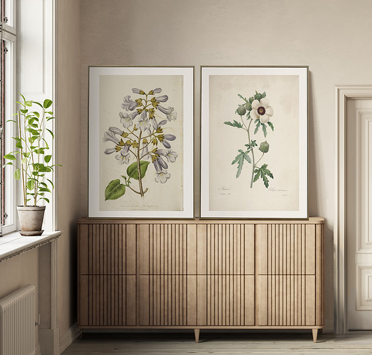 grafiki i ilustracje Zestaw grafik  50x70 cm
