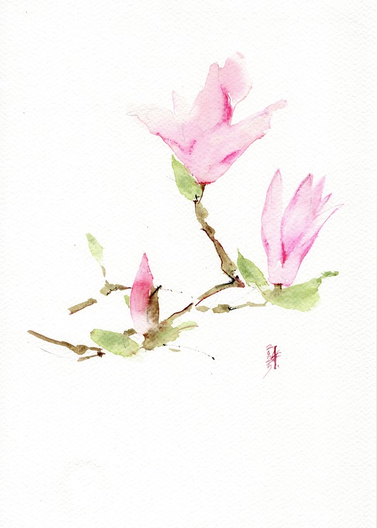 obrazy Oryginalna akwarela. Magnolia