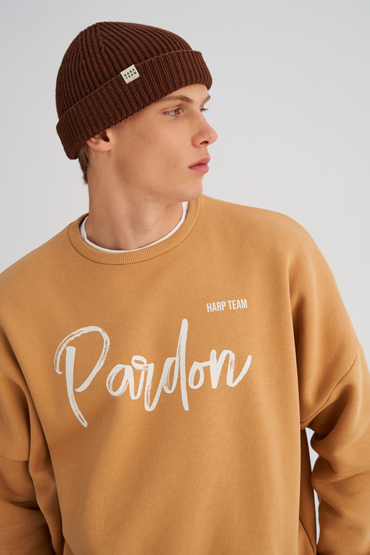 czapki i kapelusze męskie Krótka czapka prążkowana brązowa