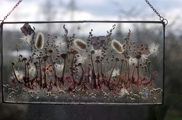 Ozdoby na ścianę Obraz na prezent. Grzybki