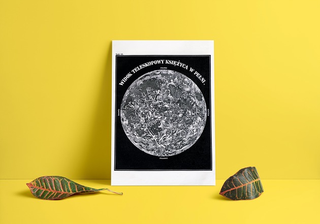 Plakat Księżyc w pełni papiery pantery