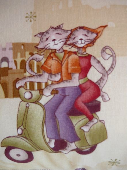 Cats Amore -urocza podusia:) Gazynia