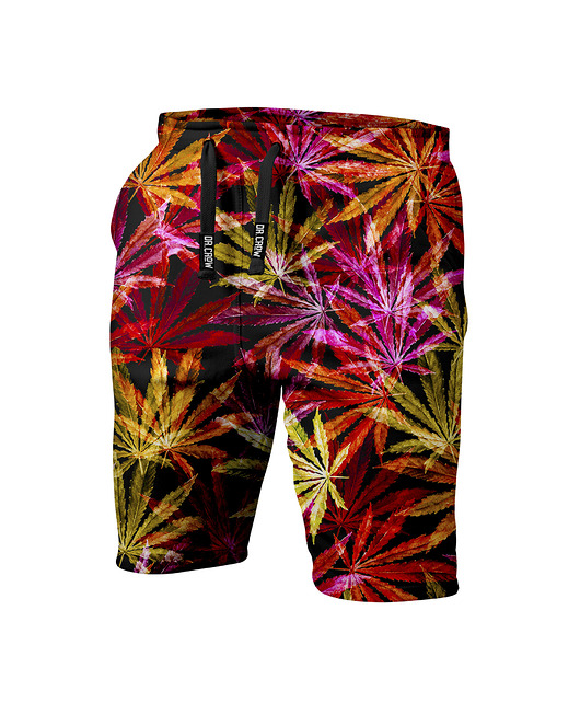 spodnie dla chłopców Krótkie Spodenki Boy DR.CROW Green Hemp Red