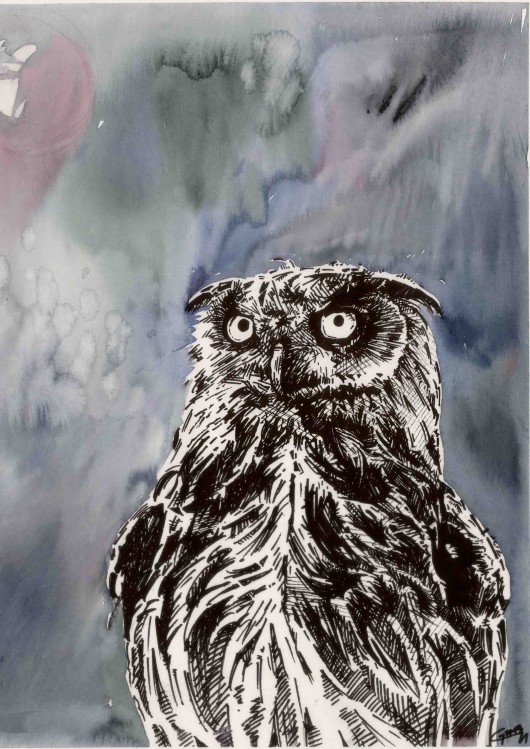 Owl at Night Mini MG Illustration