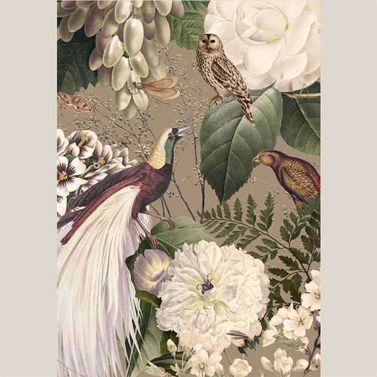 grafiki i ilustracje Plakat - Bird Story