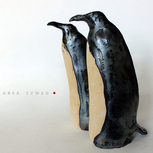 ping Arek Szwed