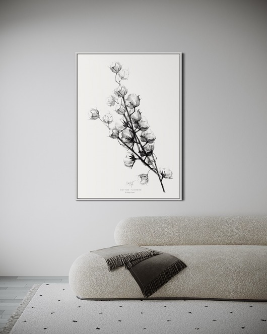 plakaty Plakat Cotton flowers