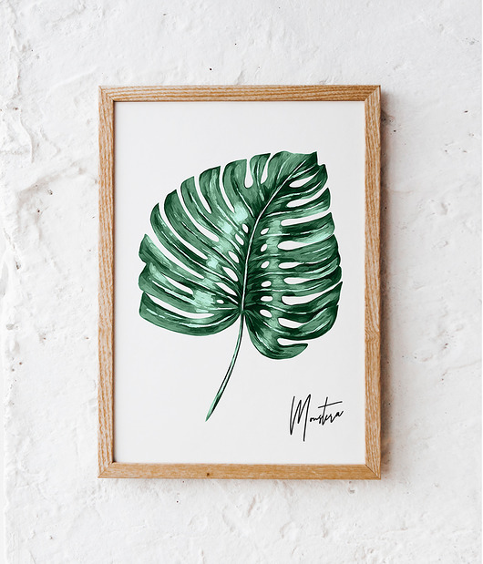 Monstera plakat - różne formaty HOG STUDIO