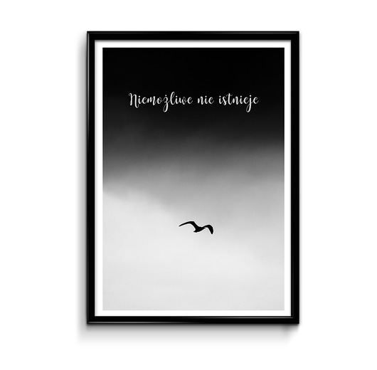 Plakat 30 x 40 Bury Lis