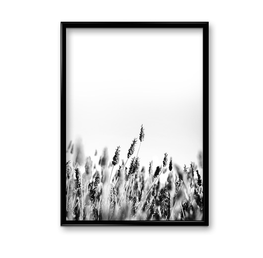 Plakat Łąka minimal #2  Bury Lis