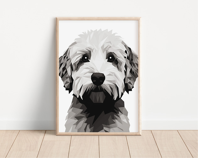 plakaty Plakat lagotto romagnolo